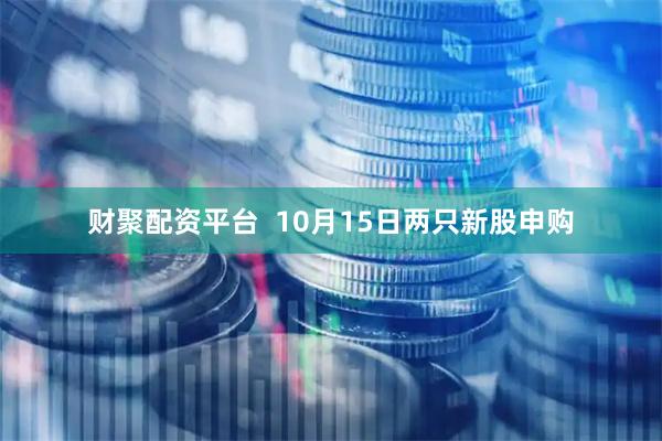 财聚配资平台  10月15日两只新股申购