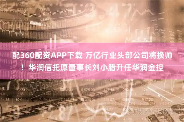 配360配资APP下载 万亿行业头部公司将换帅！华润信托原董事长刘小腊升任华润金控