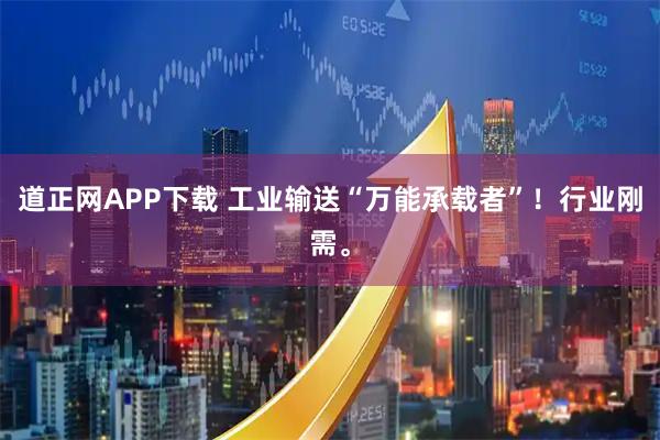 道正网APP下载 工业输送“万能承载者”！行业刚需。